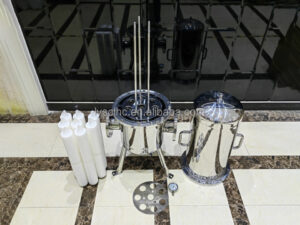 Fouled Filter Housing Internals Correctly