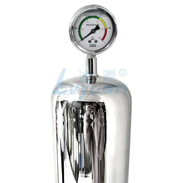 Single Cartridge T-Type Stainless Steel Gas Filter Housing (5)