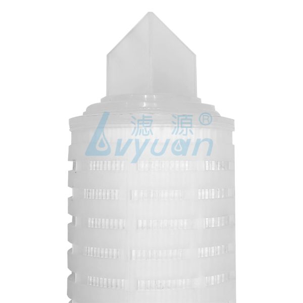 Cartouche filtrante plissée de 10 pouces (2) Cartouche filtrante plissée de 10 pouces (2)