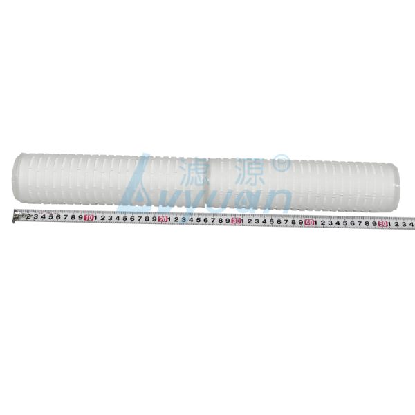 Cartouche filtrante plissée de 20 pouces (2)