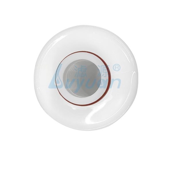 Cartouche filtrante plissée compacte de 5 pouces (3) Cartouche filtrante plissée compacte de 5 pouces (3)